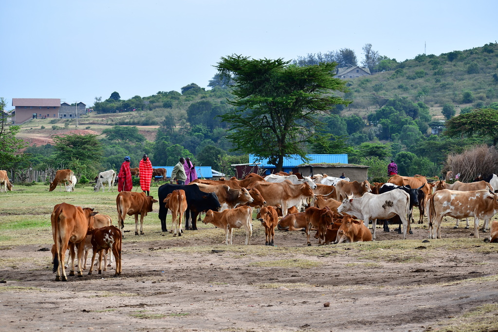 Masai Mara Nat. Reserve